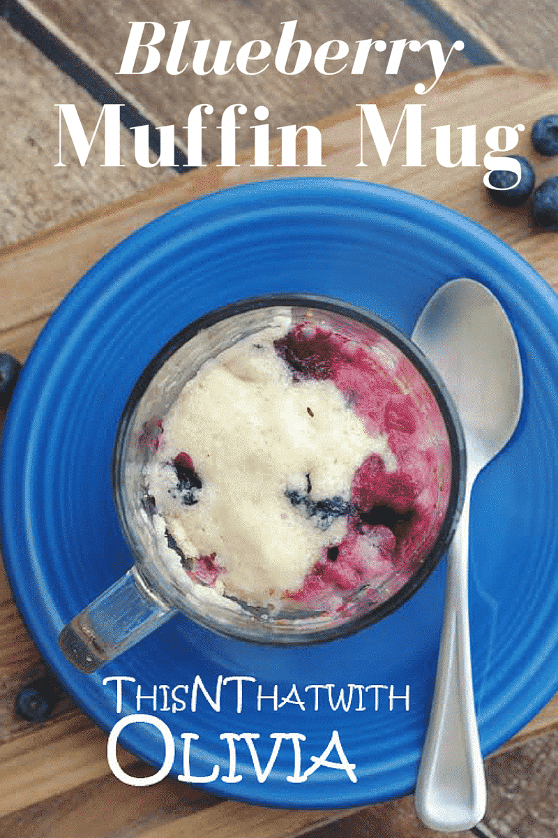 Blueberry Muffin Mug
