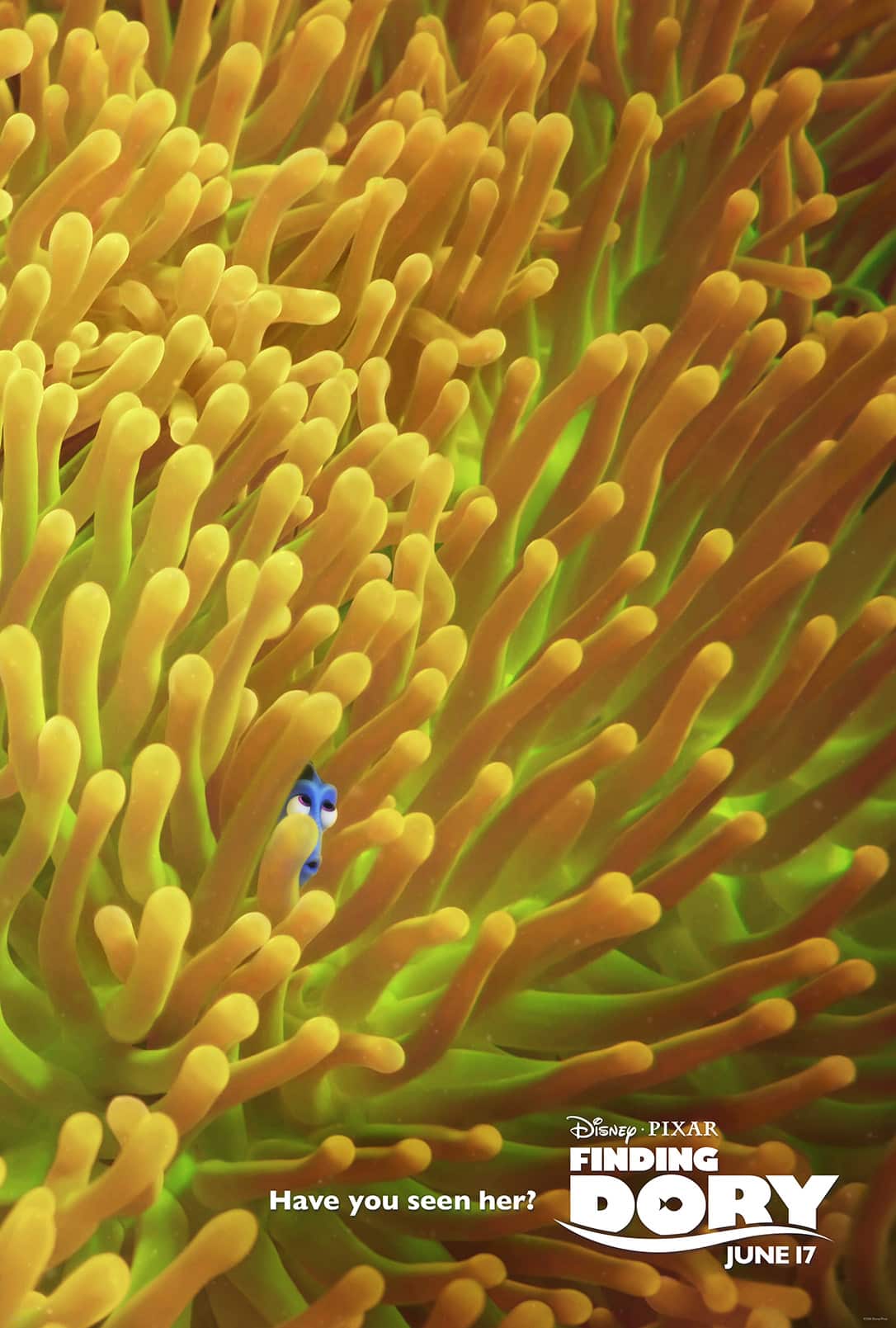 Finding Dory in theaters on June 17 #FindingDory