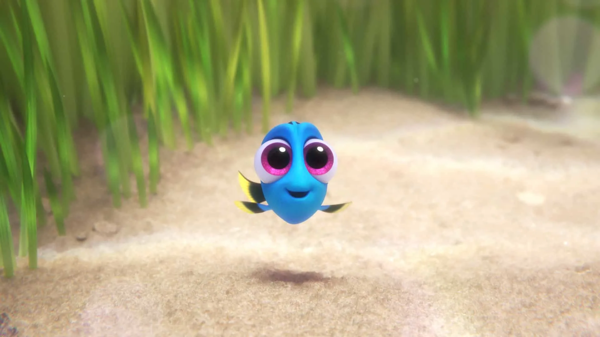 FINDING DORY – Pictured: Dory. ©2016 Disney•Pixar. All Rights Reserved.