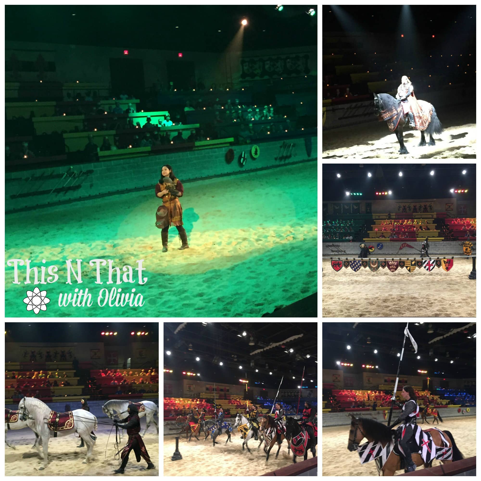 Medieval Times MD Experience | ThisNThatwithOlivia.com