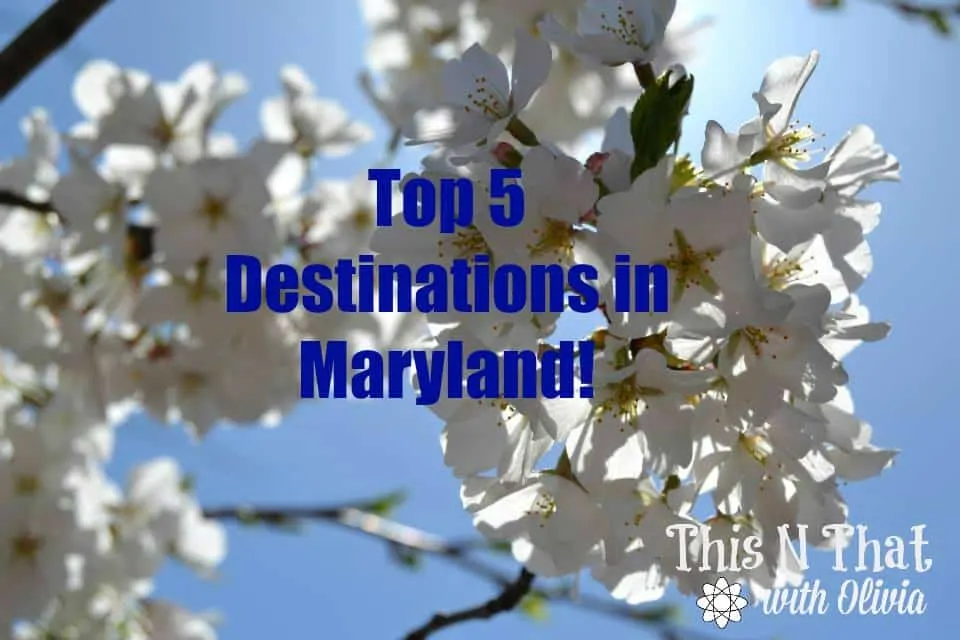 Top 5 Destinations in Maryland! #RoadTripOil #ad