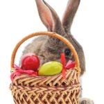 40 Easter Basket Filler Ideas for Adults | ThisNThatwithOlivia.com