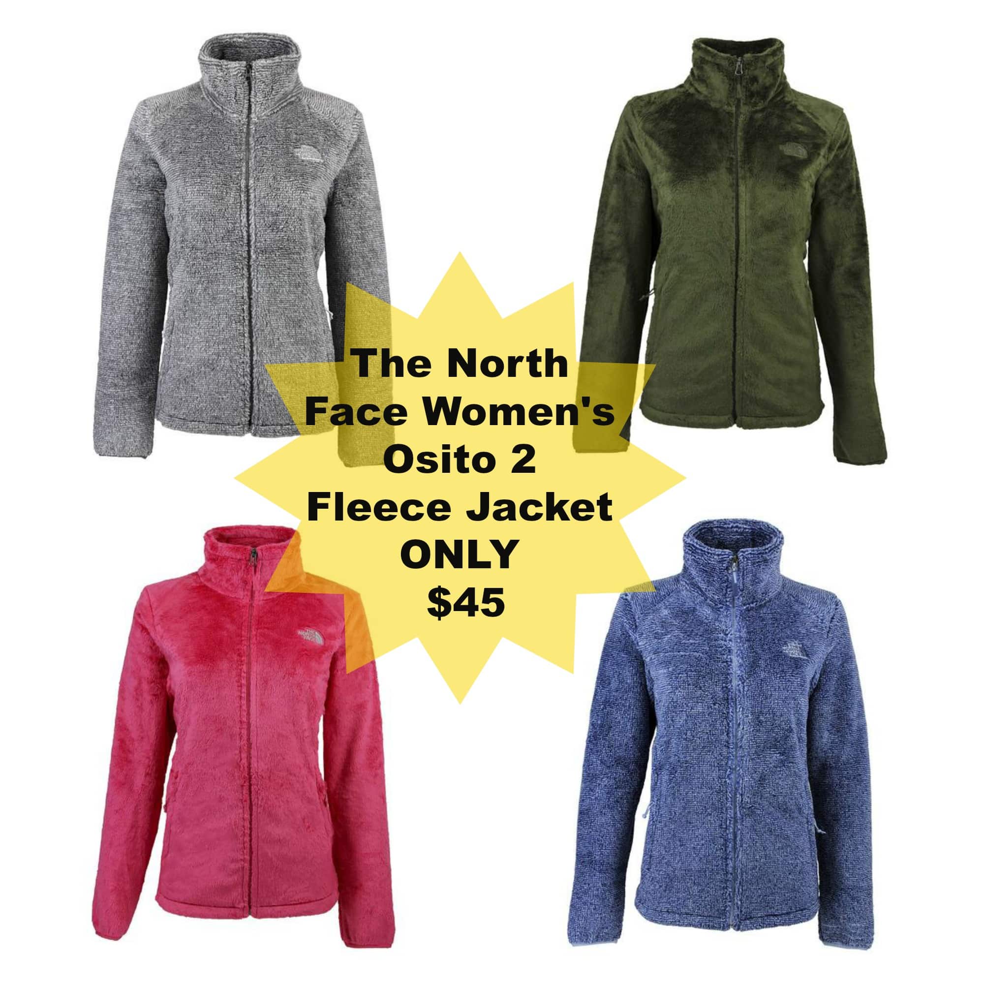*HOT* The North Face Women's Osito 2 Fleece Jacket for only $45 (regular $99)!