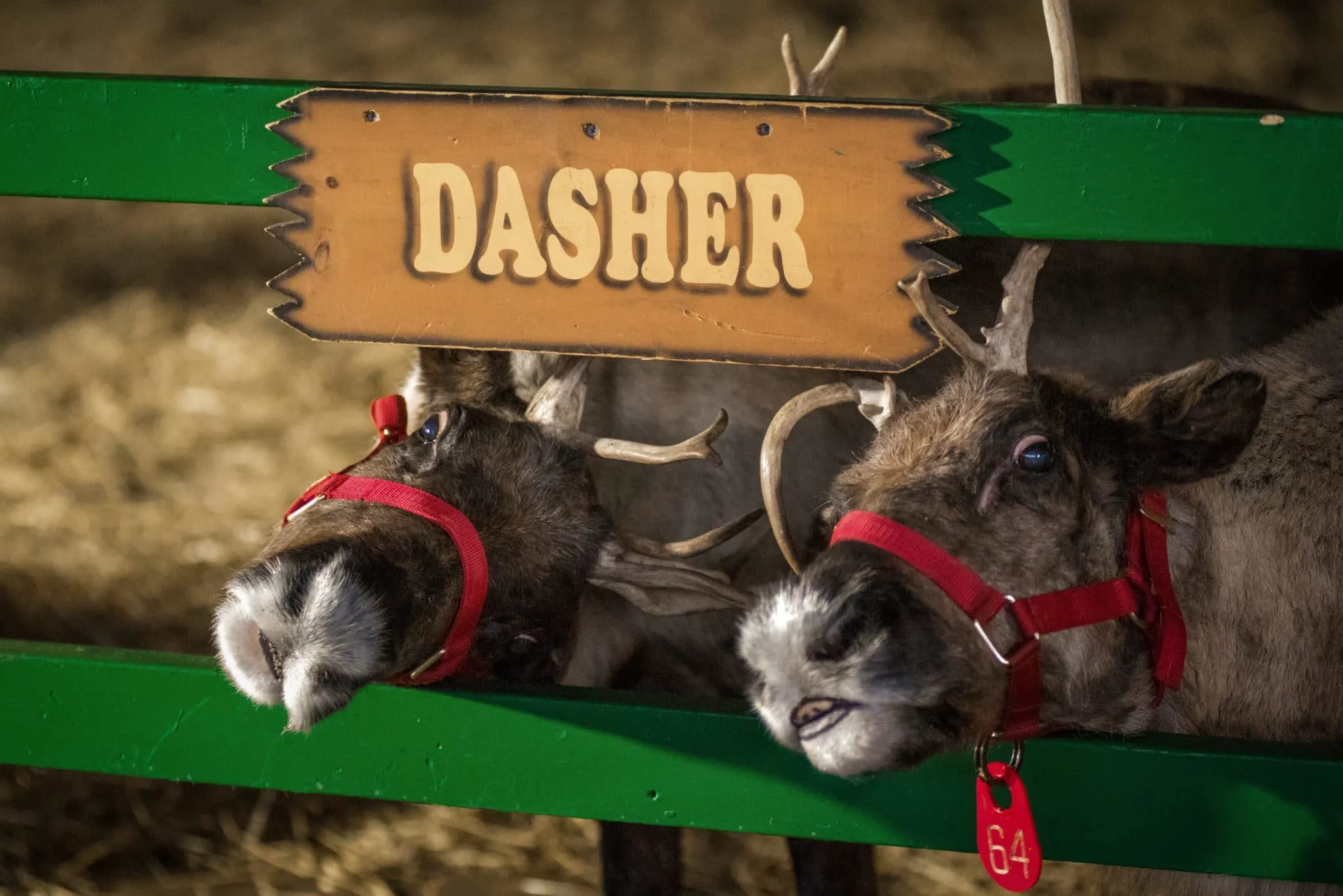 Christmas in Hershey Brings Seasonal Charm to Chocolate Town U.S.A. #HersheyPA 