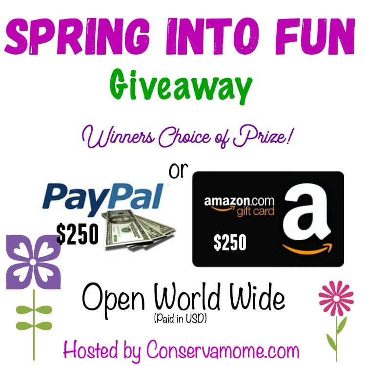 $250 Amazon/PayPal Spring Into Fun Giveaway! #SpringIntoFun Ends 4/8