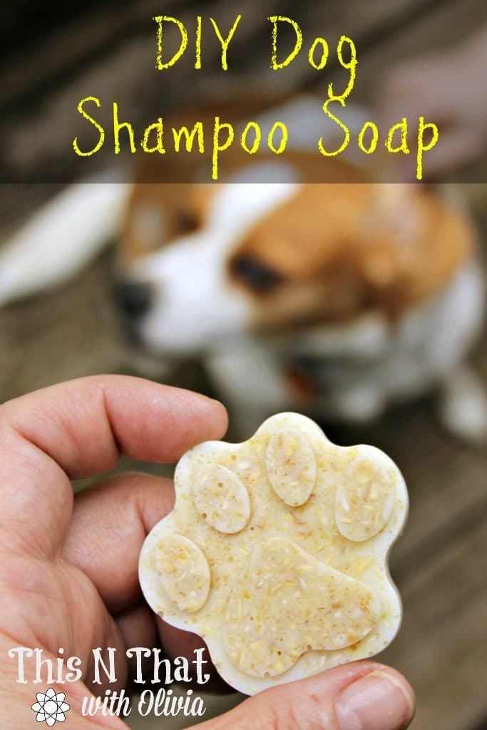 DIY Essential Oil Oatmeal Anti-Itch and Flea/Tick Repellent Dog Shampoo Soap Bars
